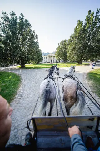 Fotografia okolicznościowa